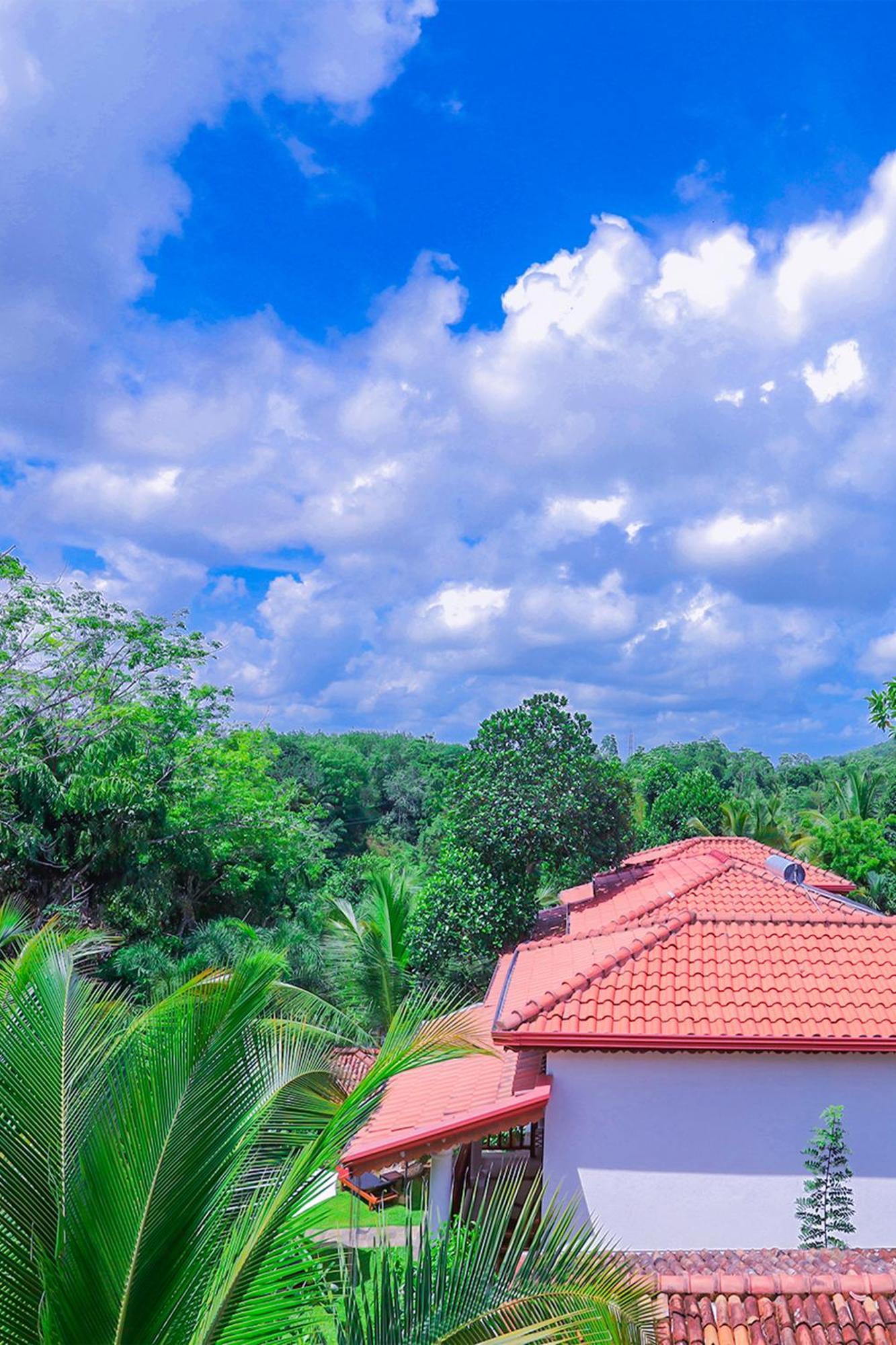 Terrace Garden Ayurveda Resort Weligama Exterior foto